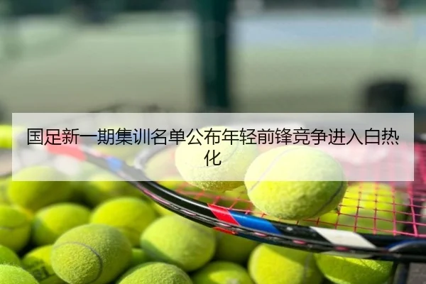 国足新一期集训名单公布年轻前锋竞争进入白热化